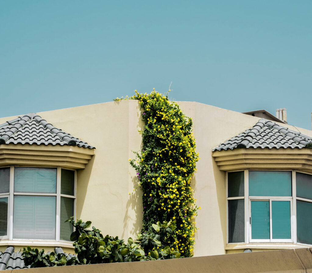 chartered surveyors